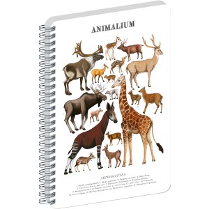 Spir�los Notesz Animalium ? Artiodactyls, blank, A5
