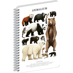 Spir�los Notesz Animalium ? Bears, blank, A4