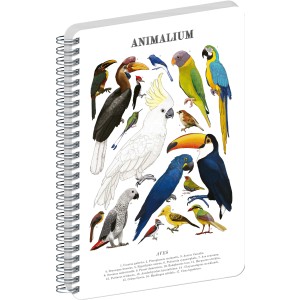 Spir�los Notesz Animalium ? Birds, blank, A4