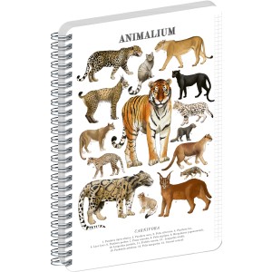 Spir�los Notesz Animalium ? Felines, quad-ruled, A4
