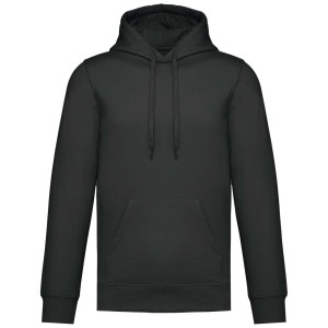 UNISEX HOODIE SWEATSHIRT, Dark Grey (pulver)